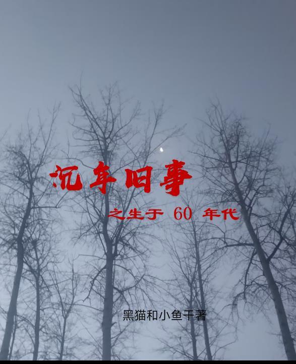 我在皇宫当老大水晶